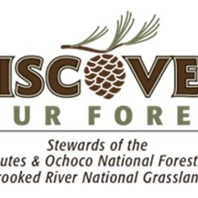 Discover Your Forest