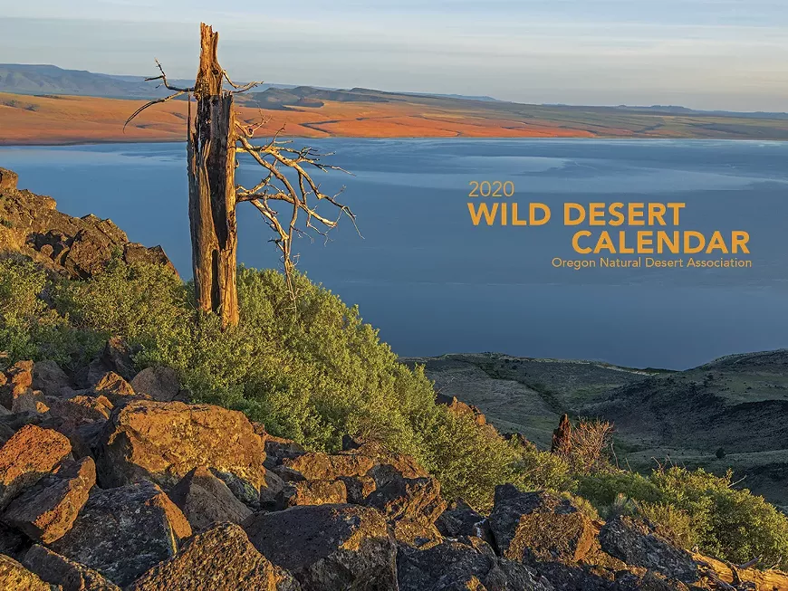 onda_wilddesertcalendar_2020_cover-digital.webp