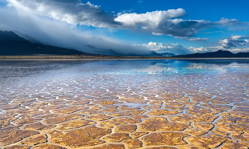 redhiddengems_18jan2020_720x430.webp