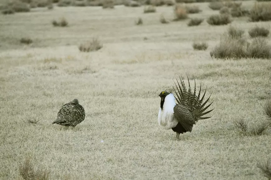 Photo by Jeannie Stafford, U.S Forest Service