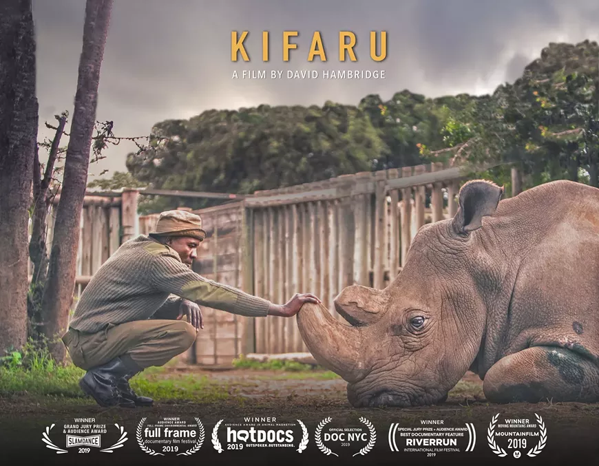 kifaru_poster2020-rev_1_.webp