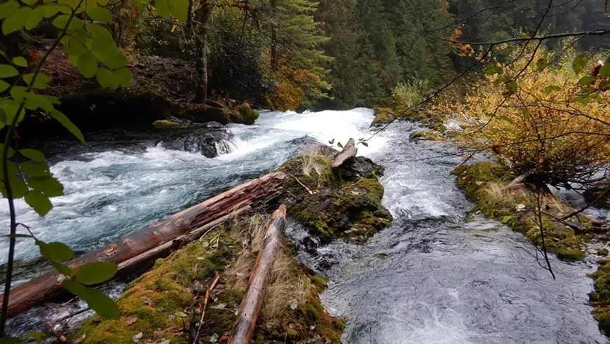 Second Annual: Wild Rivers Night