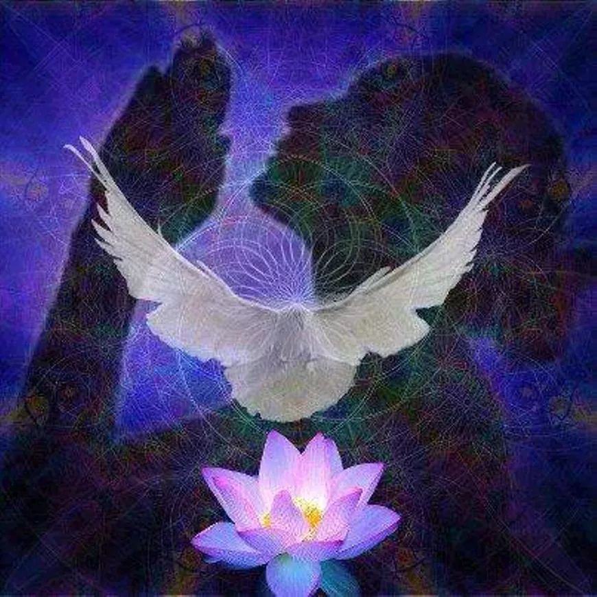 d06ec553_dove_and_angel.webp