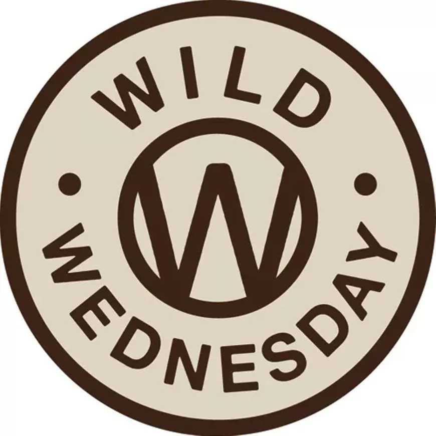 78c71a07_owwlogo-brown.webp