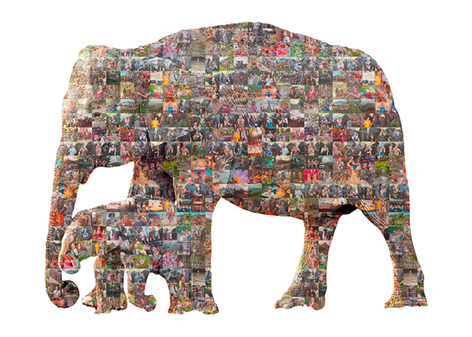 mosaic_elephant2-small.png