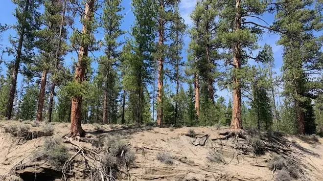 Image: Last Chance for the Deschutes: What&rsquo;s at Stake