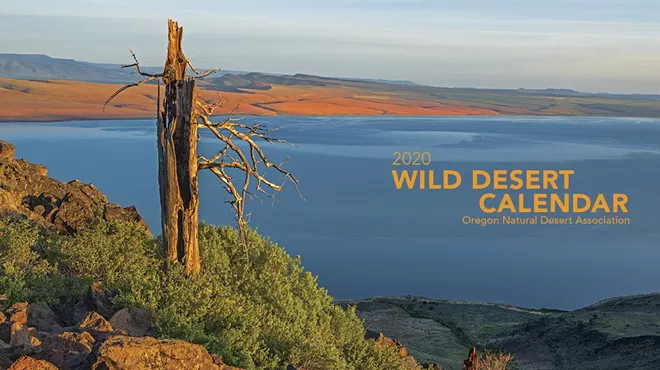 Image: 2020 Wild Desert Calendar Release Party