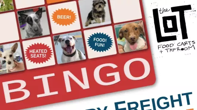 Image: Bingo Benefitting Furry Freight Shelter Transport