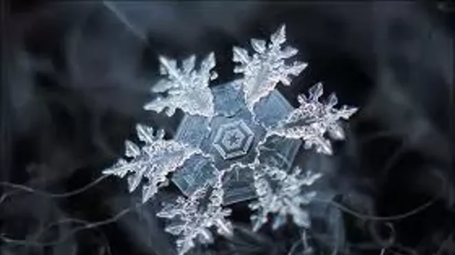 Image: Discover the Thrill of the Chill