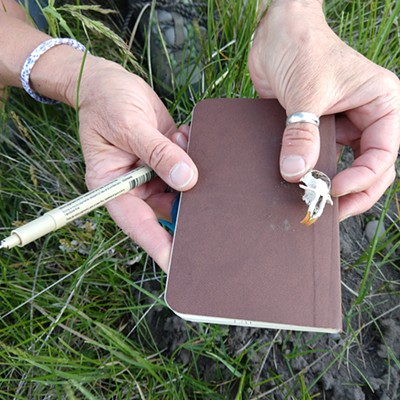 Nature Journaling, Whychus Canyon Preserve