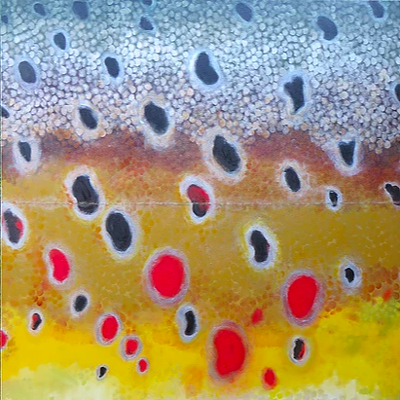 Brown Trout by Analee Fuentes