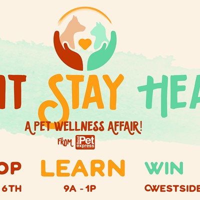 Sit. Stay. Heal. A Pet Wellness Affair