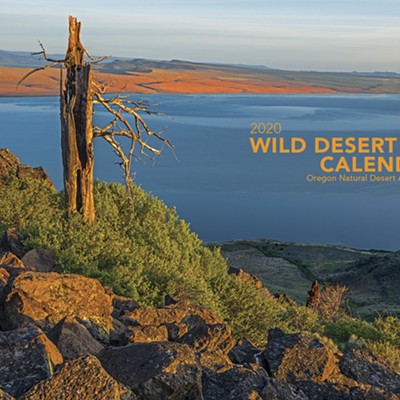 2020 Wild Desert Calendar Release Party