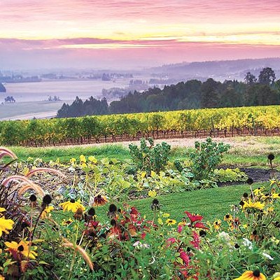 Vineyard Landscapes: Conservation and Biodiversity for Wine Lovers and Others