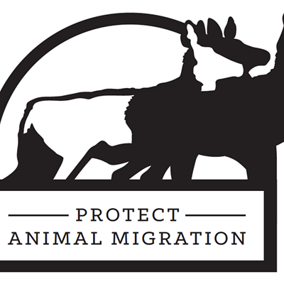 Protect Animal Migration