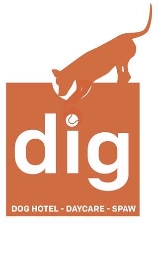 Dig Dog Hotel Grand Opening