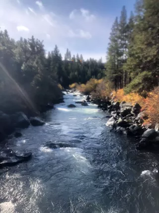 Image: Guided Journey Meditation with Leona Steel