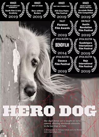 Image: Film Screening - "Hero Dog"