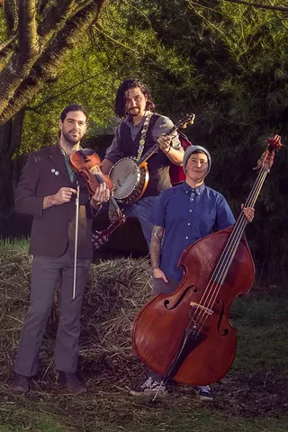 Image: Scratchdog Stringband