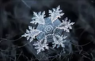 Image: Discover the Thrill of the Chill