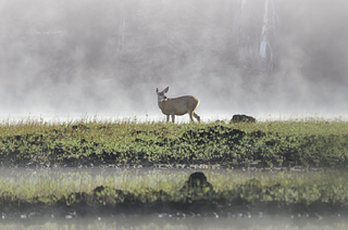 Image: Central Oregon LandWatch