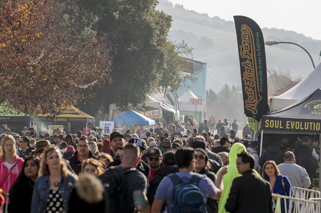 The Emerald Cup 2017