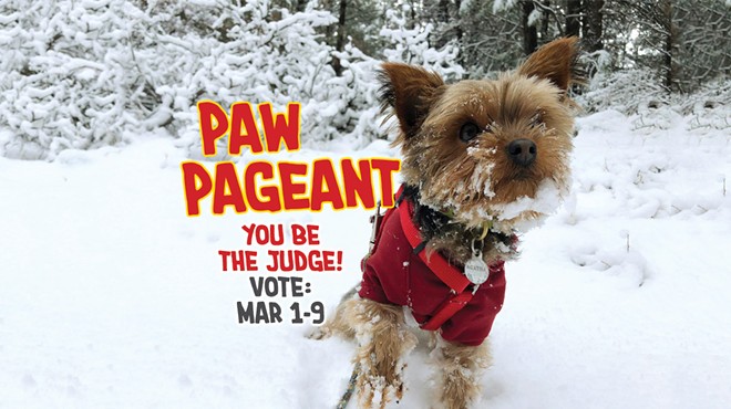2019 Paw Pageant — Vote!
