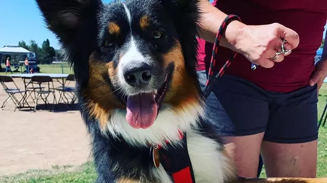 Image: 4th Annual "For the Love of Pets" Benefit Festival