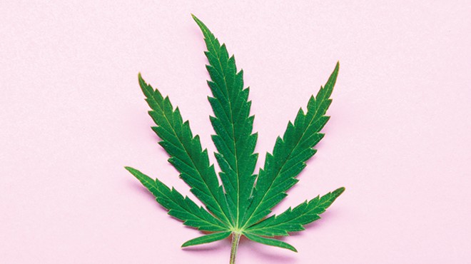 A Cannabis News Roundup