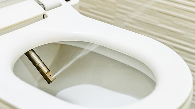 A Case for the Bidet