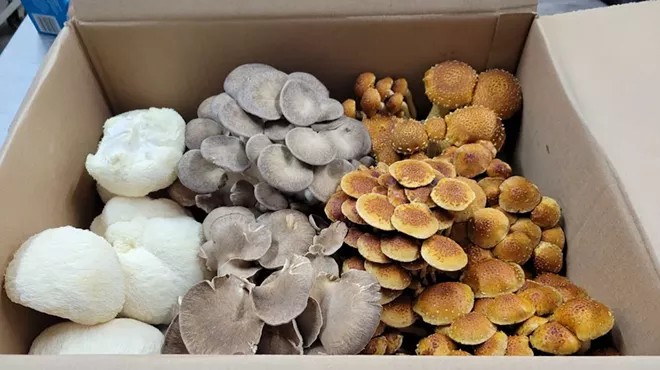 Image: Adult Cooking Class-Mushrooms!