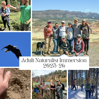 Image: Adult Naturalist Immersion Program