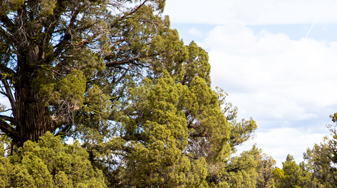 Image: AdventurUs Women Community Hike & Yoga
