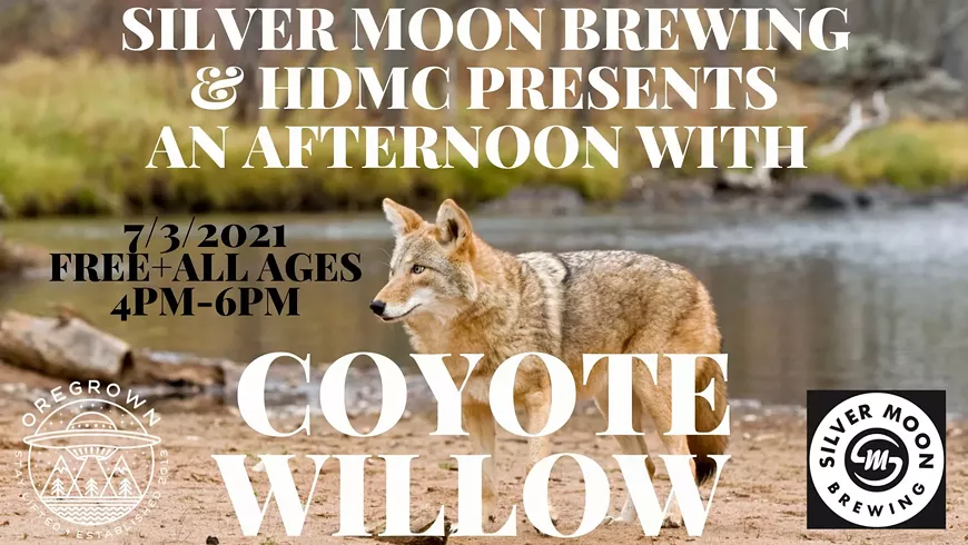 coyote.webp