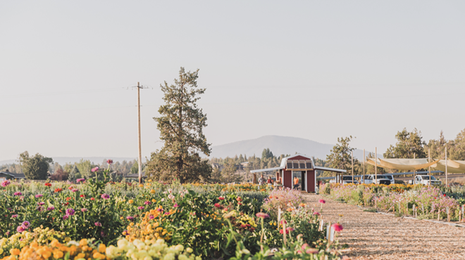 Announcing the Launch of a New 2024-25 Edition of the High Desert Food Trail!