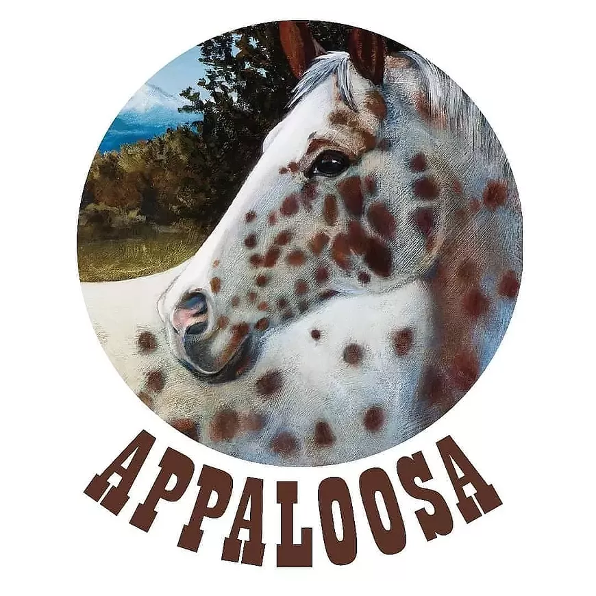 appaloosa.webp