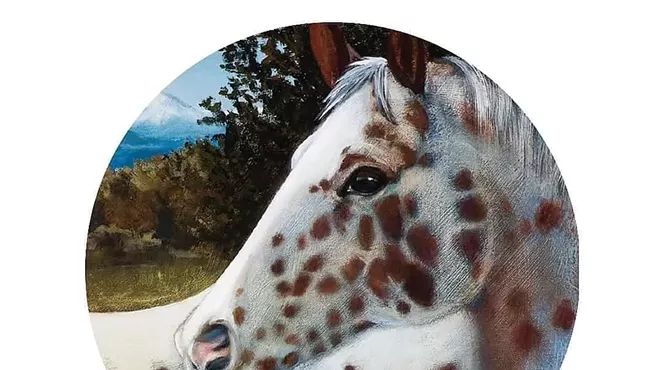 Image: Appaloosa