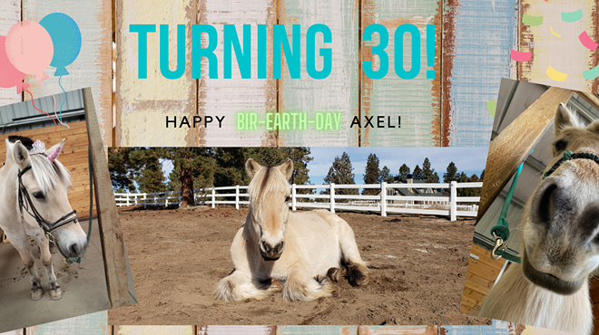 April Birthdays Celebration - Axel the Fjord is turning 30!