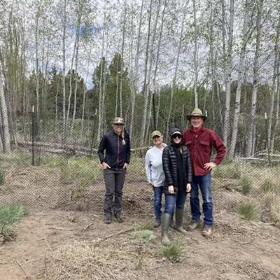Image: Aspen Fencing Work Party