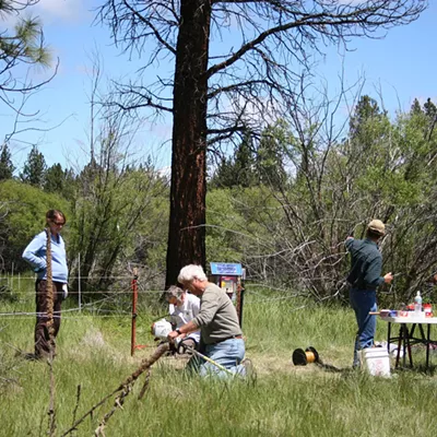 Image: Aspen Fencing Work Party