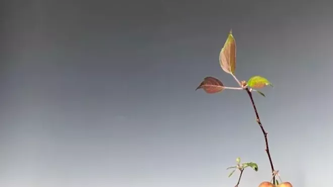 Image: Basic/Intermediate Ikebana: Traditional Japanese Art of Flower Arranging