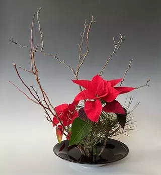 Image: Basic/Intermediate Ikebana: Traditional Japanese Art of Flower Arranging