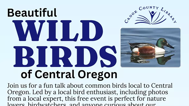 Image: Beautiful Wild Birds of Central Oregon