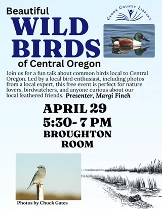 Image: Beautiful Wild Birds of Central Oregon