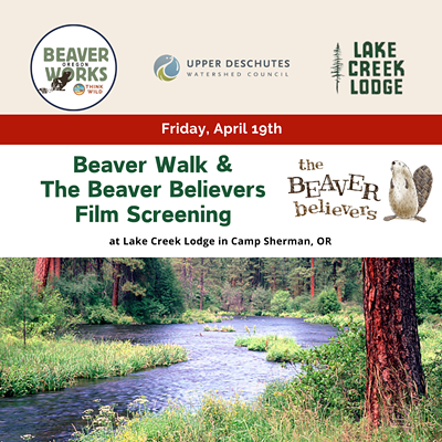 Beaver Walk and Beaver Believers Screening