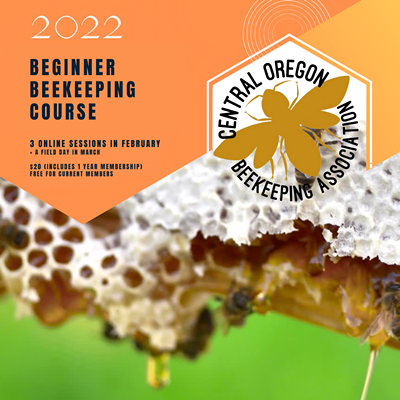 Beginner Beekeeping Course