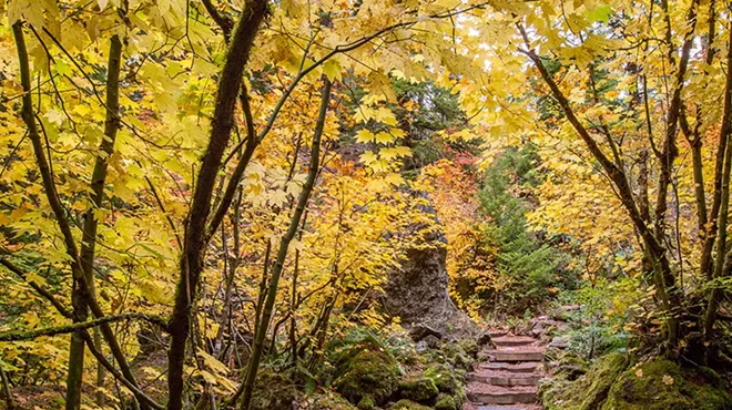 Image: Bend Photo Tours - Fall Foliage Photo Workshop