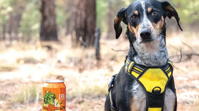 Image: Best Hazy Beer