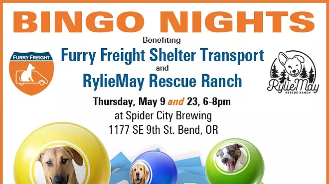 Image: BINGO Benefiting Shelter Pets in Need! Last One Of The Season!