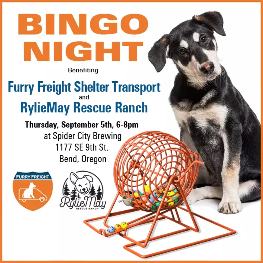 BINGO Night Benefiting Shelter Pets in Need!
